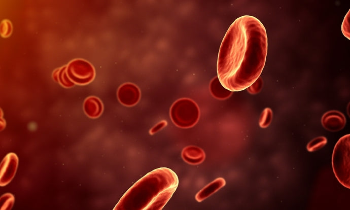 Bloodborne Pathogens (Espanol)  Patgenos transmitidos por la sangre